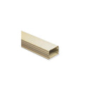 RACEWAY 1 1/4inW X 3/4inH X 6'L IV