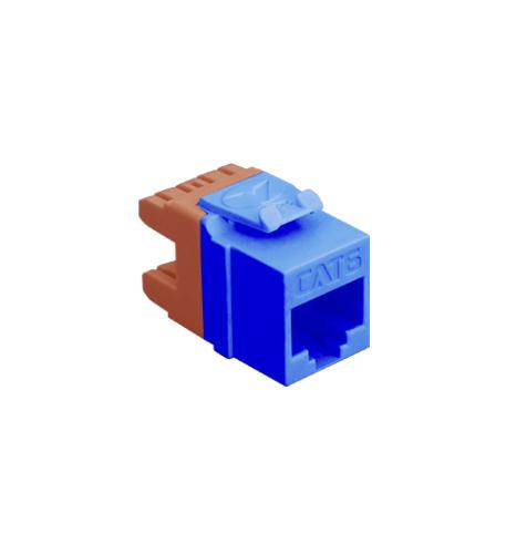 MODULE, CAT 6, HD, BLUE