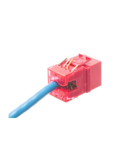 MODULE, CAT 6, HD, RED